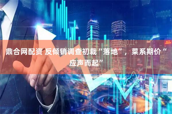 鼎合网配资 反倾销调查初裁“落地”，菜系期价“应声而起”