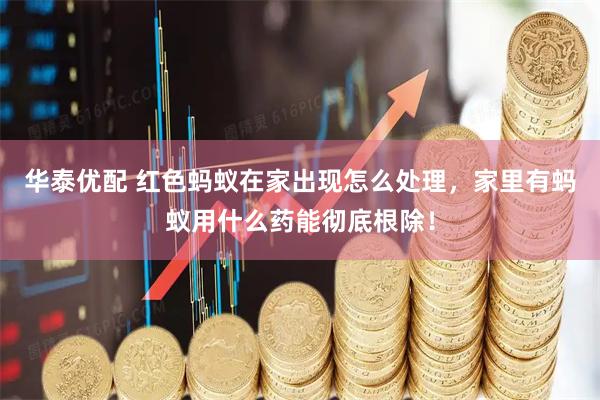 华泰优配 红色蚂蚁在家出现怎么处理，家里有蚂蚁用什么药能彻底根除！