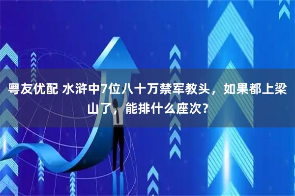 粤友优配 水浒中7位八十万禁军教头，如果都上梁山了，能排什么座次？