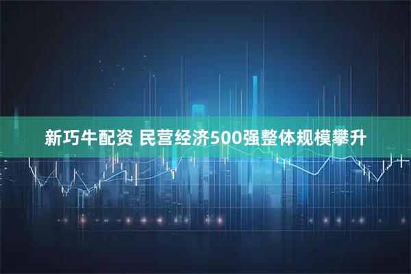 新巧牛配资 民营经济500强整体规模攀升