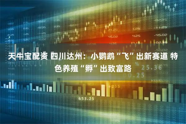 天牛宝配资 四川达州：小鹦鹉“飞”出新赛道 特色养殖“孵”出致富路