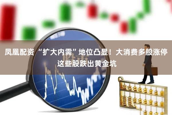 凤凰配资 “扩大内需”地位凸显！大消费多股涨停 这些股跌出黄金坑